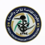 القوات الخاصة للأمن والحماية القوات الخاصة للأمن والحماية