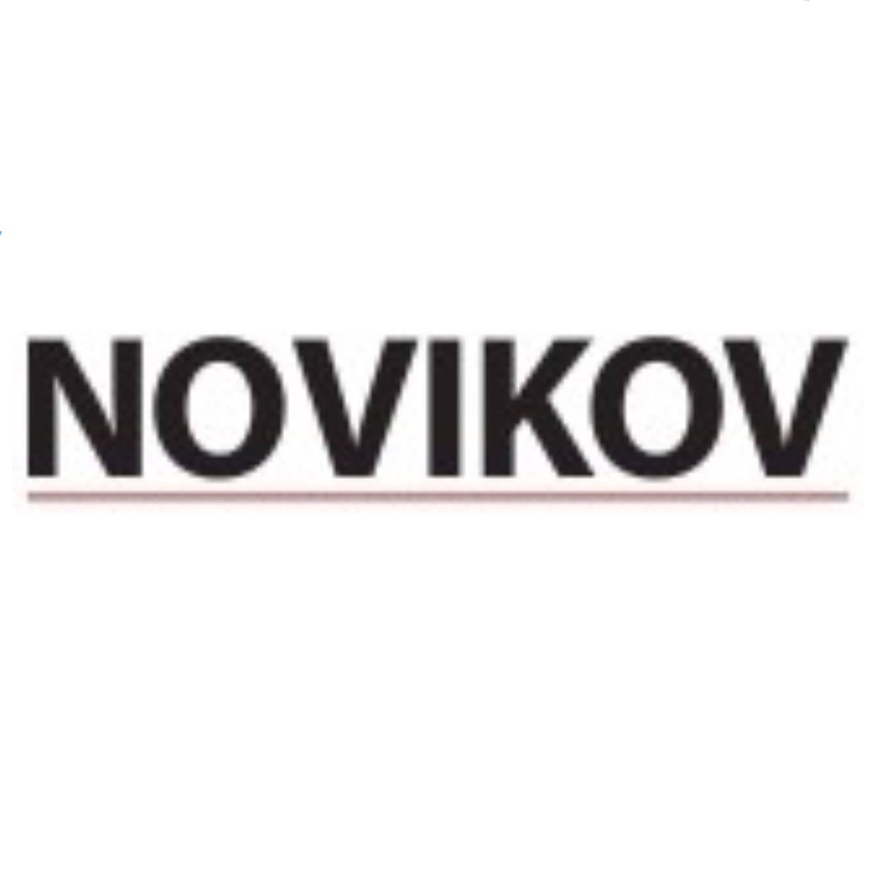 Novikov group